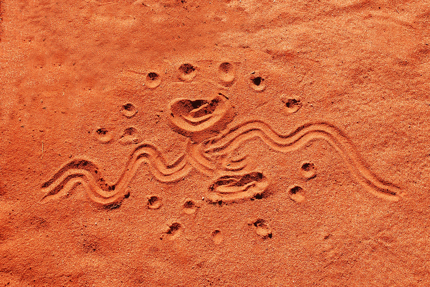 Australian Indigenous drawing etched into red sand