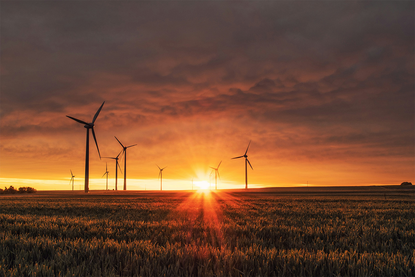 Wind farm with large turbines on a field as the sun sets