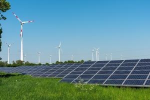 Network connection studies for large renewable energy generators
